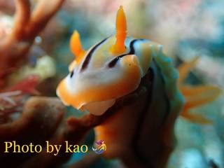 B55CBC71-3C57-4E86-BB60-A3BC66E11AB7.jpeg