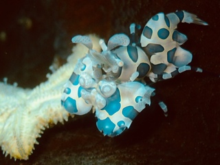 55875757-0EAC-44B6-B919-B638C374AD87.jpeg