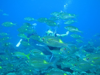 IMG_7827.jpg