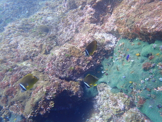 IMG_9503.jpg
